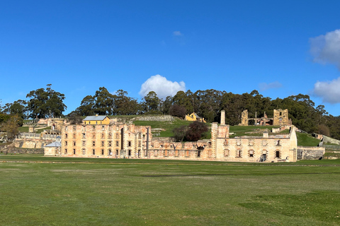 Private Full Day Tour - Tasman Peninsula
