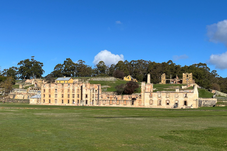 Private Tagestour – Tasman-Halbinsel