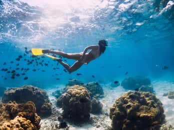 Capri: Boat tour Adventure Cave Swim Beaches & Island Visit