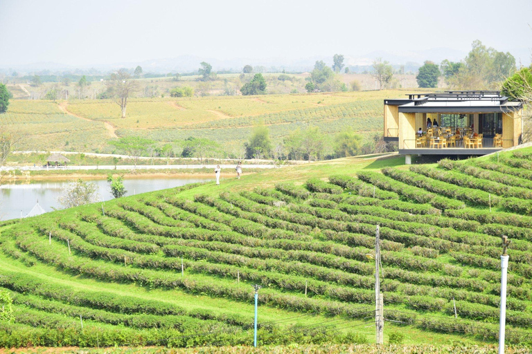 Chiang Rai: Explore Top 7 Attractions + FREE Lunch Buffet