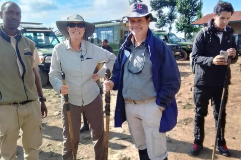 1 Day gorilla trekking safari tour, volcanoes national park.