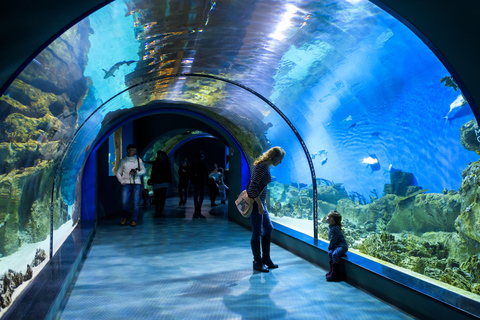 Istanbul: Aquarium Tour with Hotel Transfer Hotel Pickup & Aquarium Tour