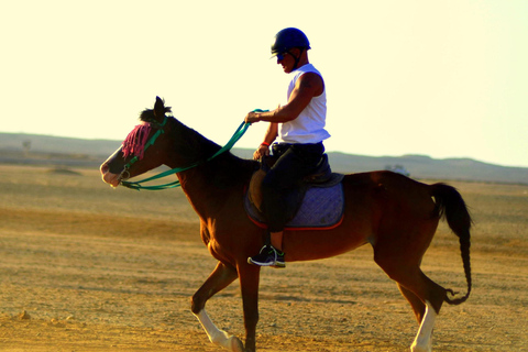 Marsa Alam: Tramonto a cavallo con cena, spettacolo e osservazione delle stelle