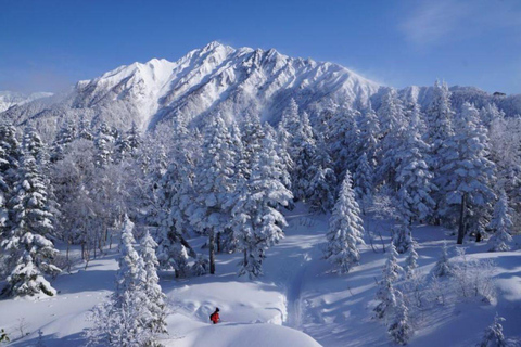 Nagoya return day tour Shin-Hotaka Ropeway& Hida Takayama