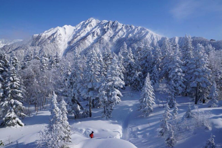 Nagoya return day tour Shin-Hotaka Ropeway& Hida Takayama