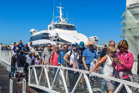 Cape Town:Robben Island Guided Tour, Skip the Ticketing LineKaapstad: Robbeneiland rondleiding, voorrangsticket