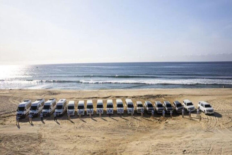 ONE WAY TRIP: AIRPORT HOTEL oder HOTEL AIRPORTdef1