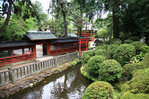 Tokyo Full and Half Day Sightseeing Tour with Mount Fuji Tokyo: 4 Hours Private City Sightseeing Tour with Tour Guide