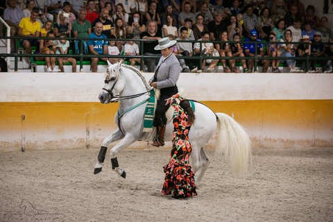 Torremolinos: Spanish horse show and flamenco with dinner option Guided visit and entrance to the show with a seat in a preferential area.