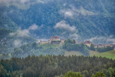 Wycieczka 1-dniowa prywatnym samochodem: Berno do Lozanny, Lavaux i Grueyeres