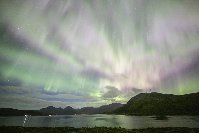 Von Tromsø: Nordlichtjagd mit Fotos &amp; SnacksNordlichtjagd in Tromso mit Fotos, Kleidern und Snacks