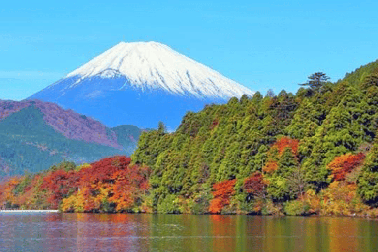 Mount Fuji Full Day Private Customizable Tour with Guide