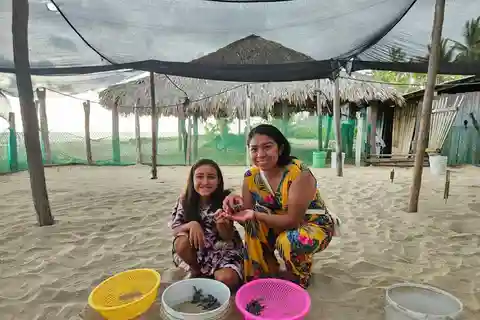 Zihuatanejo: Turtle Release Experience at Playa Blanca