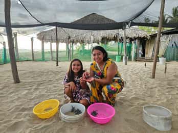 Zihuatanejo: Experiencia de Liberación de Tortugas en Playa Blanca