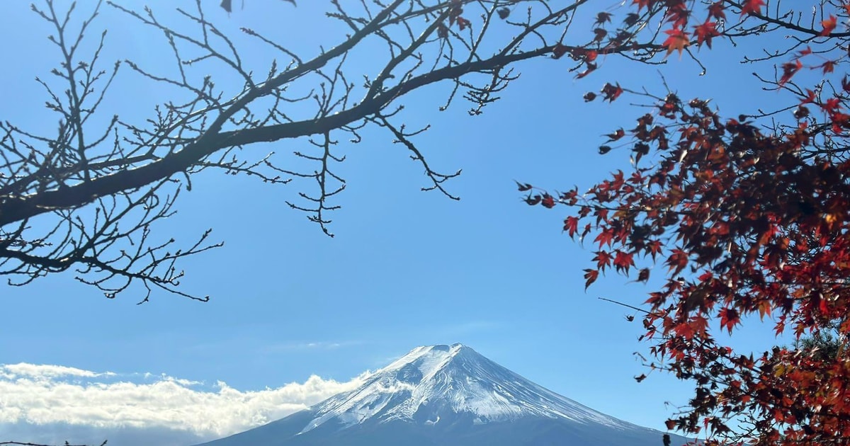 Tokyo: 3-Day Sightseeing Tour with Lunch | GetYourGuide