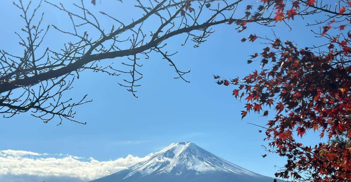 Tokyo: 3-Day Sightseeing Tour with Lunch | GetYourGuide