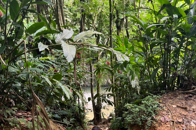 El Yunque ,river ,water slides and hike excursions