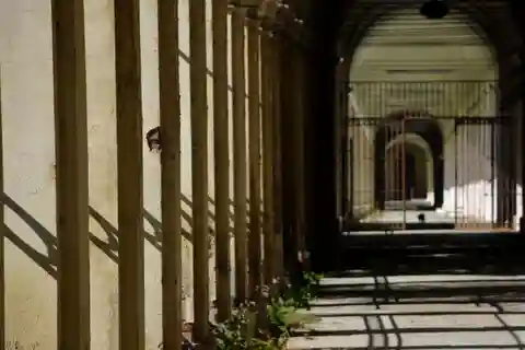 Vergessene Seelen: Das Collegno Asylum und seine Geheimnisse