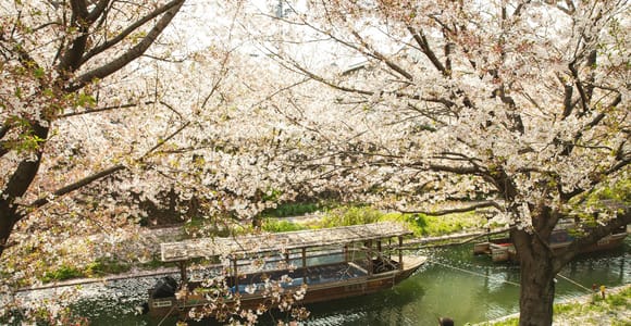 Kyoto: Tour durch das Sake-Viertel Fushimi mit Bootsfahrt