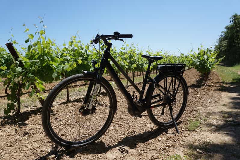Wein der Provence mit dem E-Bike... Das solltest du nicht verpassen!