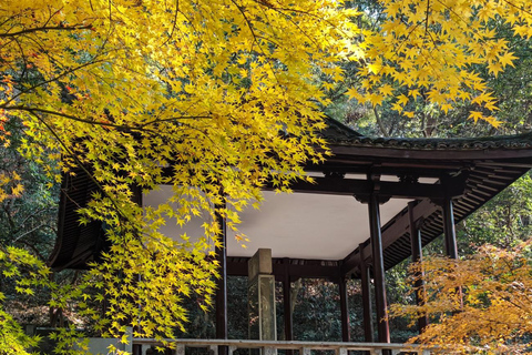 Hangzhou Yunqi Bamboo Trail Admission Ticket