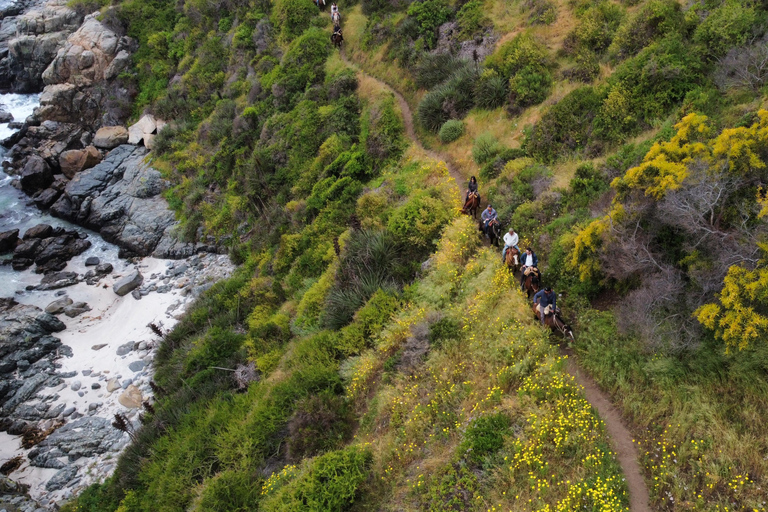 From Santiago: Papudo Horseback Ride & Penguin Watching
