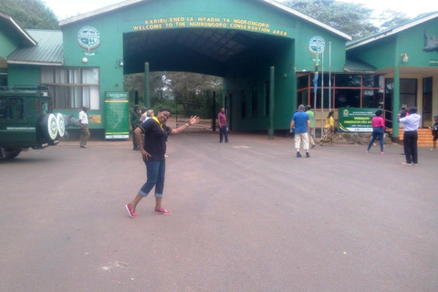 Arusha: Excursão de um dia à Cratera de Ngorongoro