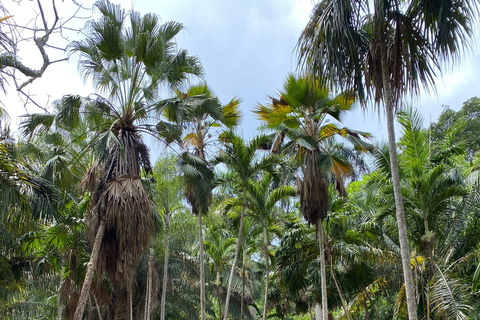 Cartagena: Guided Experience in the Botanical Garden