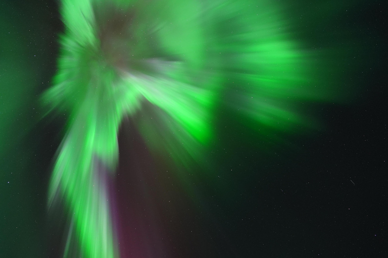 Tromsø : Visite guidée des aurores boréales avec un guide régional