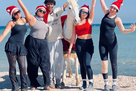 الغردقة: جولة ركوب الخيل في الصحراء والبحر مع خيار السباحةجولة لمدة ساعتين لركوب الخيل بدون السباح