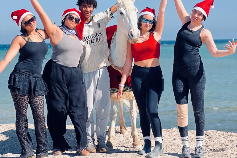 الغردقة: جولة ركوب الخيل في الصحراء والبحر مع خيار السباحةجولة لمدة ساعتين لركوب الخيل بدون السباح