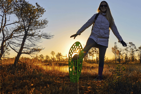 From Riga: Bog-Shoe Hiking Tour at Cenas or Ķemeri Bog