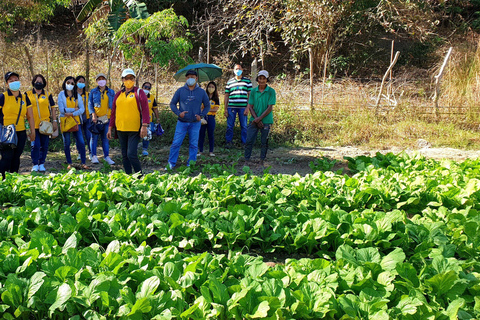Coron: Farm Day Tour with Lunch and Hotel transfer