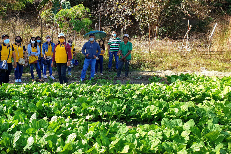 Coron: Farm Day Tour with Lunch and Hotel transfer