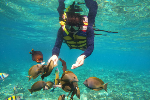 Lombok: Private Glass-Bottom Boat Tour with Snorkeling
