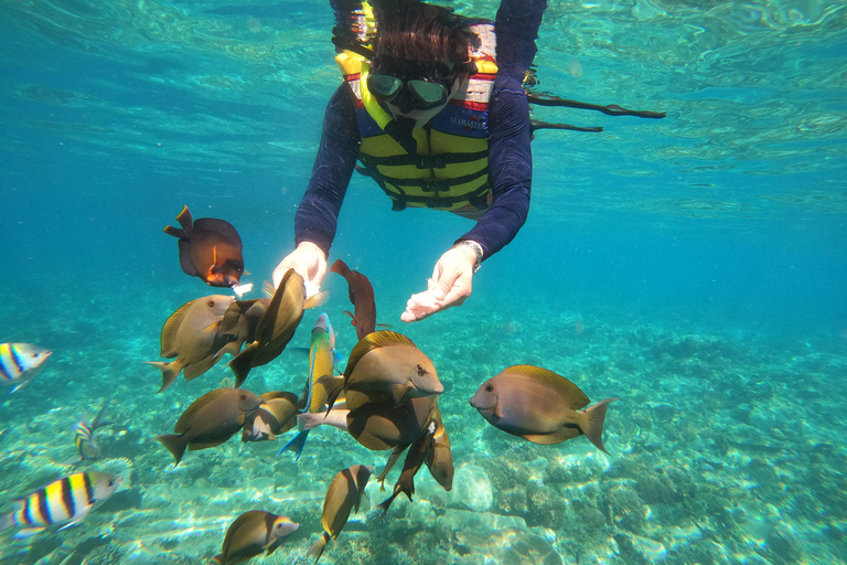 Lombok: Private Glass-Bottom Boat Tour with Snorkeling