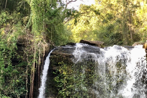 Chiang Mai : Visite de deux jours du sanctuaire du Temple des éléphants