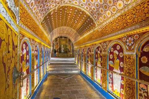 From Colombo/Negombo: Kandy ,Pinnawala ,Tea Factory Day Tour