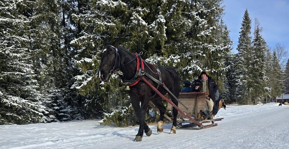 Zakopane: Private 2.5-Hour Chocholowska Valley Sleigh Ride