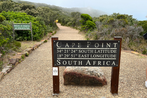 Cape of Good Hope and Penguins Full-Day Private Tour Private tour: Cape of Good Hope and Penguins Full-Day Tour