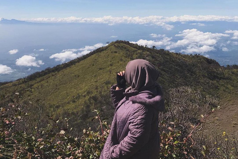 Yogyakarta: Mount Lawu 3-Day Trekking and Camping Tour