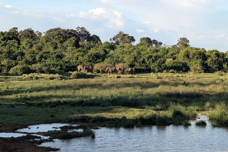 Nairobi: Overnight Adventure in Aberdare National Park