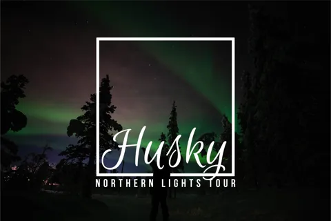 Från Kiruna: Norrskensäventyr med guidad huskykälkåkning