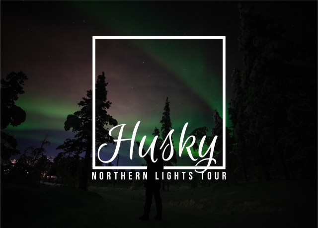 Visit From Kiruna Northern Lights Guided Husky Sledding Adventure in Jukkasjärvi