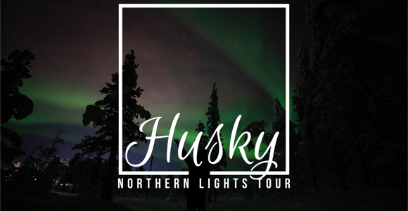 From Kiruna: Northern Lights Guided Husky Sledding Adventure