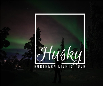 Da Kiruna: Avventura guidata con l'aurora boreale in slitta trainata dagli Husky