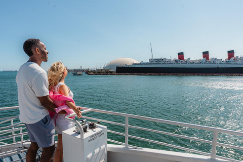 Long Beach: Valentine's Day Dinner or Singles Cruise Long Beach: Valentine's Day Romantic Dinner Cruise