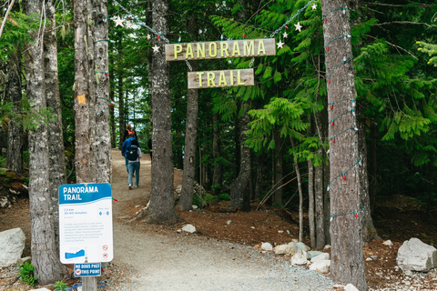 Vancouver: Sea to Sky Gondola och dagsutflykt till Whistler