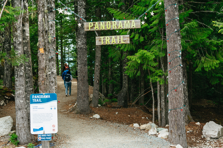 Vancouver: Sea to Sky Gondola en dagtrip naar WhistlerVancouver: Sea to Sky-gondel en Whistler-dagtrip