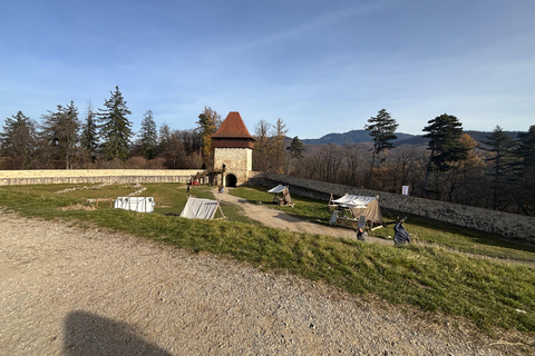 Brașov: Bran Castle, Bear Sanctuary, & Râșnov Citadel Tour
